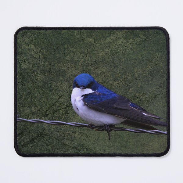 Item preview, Tree Swallow designed and sold by Alyce Taylor.