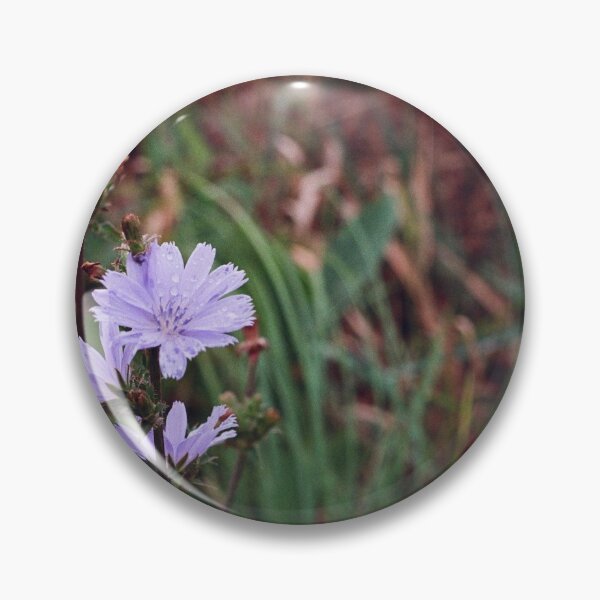 Item preview, Chicory Flower designed and sold by ztrnorge.