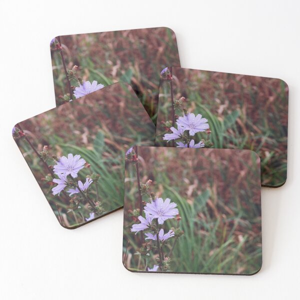 Item preview, Chicory Flower designed and sold by ztrnorge.