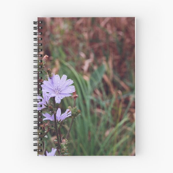 Item preview, Chicory Flower designed and sold by ztrnorge.