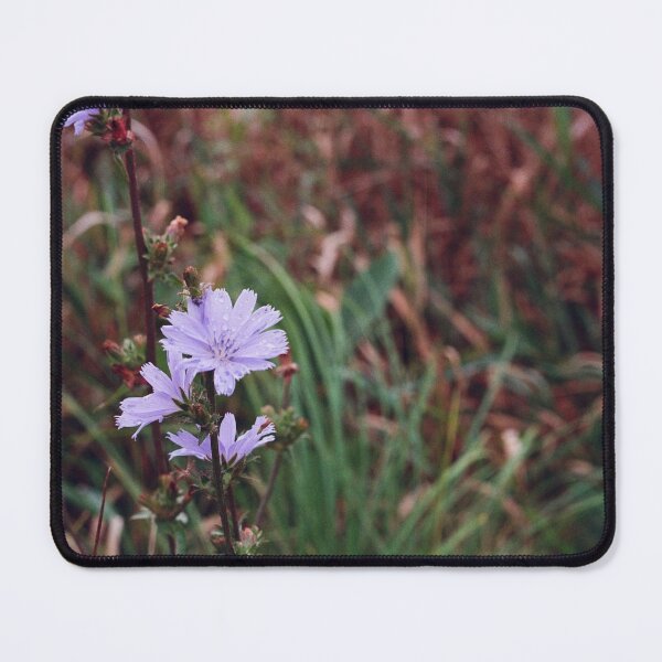 Item preview, Chicory Flower designed and sold by ztrnorge.