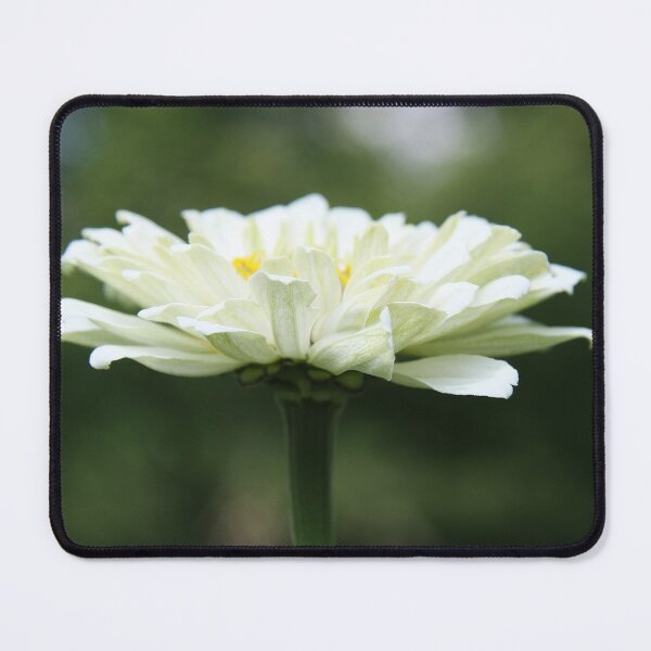 Item preview, White designed and sold by Alyce Taylor.