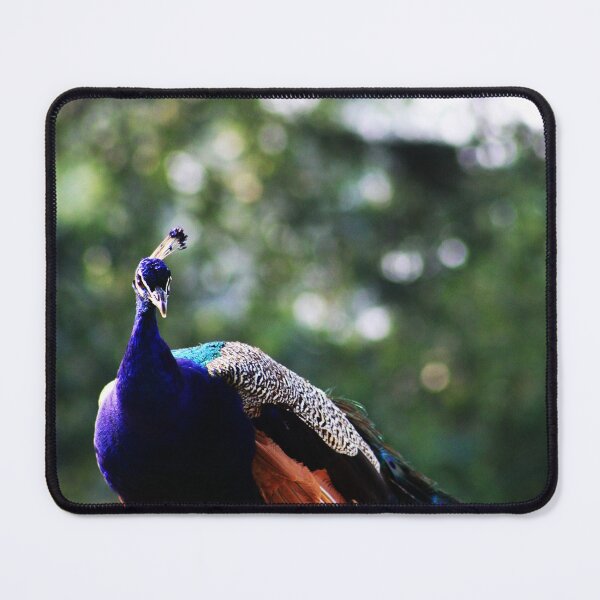 Item preview, Colourful designed and sold by Alyce Taylor.