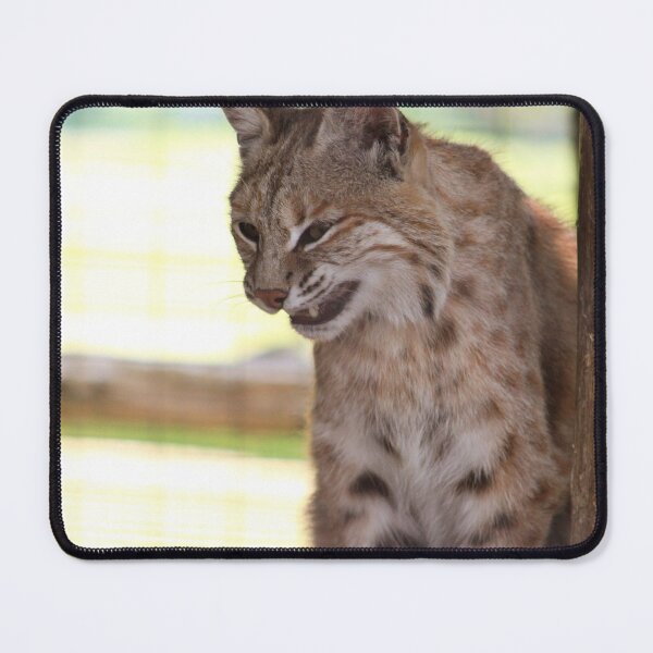 Item preview, Snarly designed and sold by Alyce Taylor.