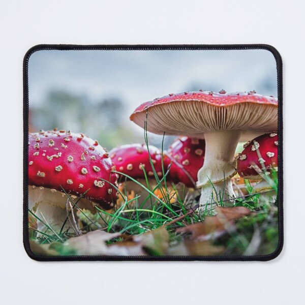 Red And White Mushrooms Mouse Pad