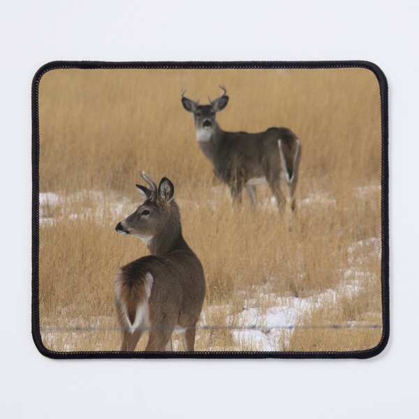 Item preview, Two Bucks designed and sold by Alyce Taylor.