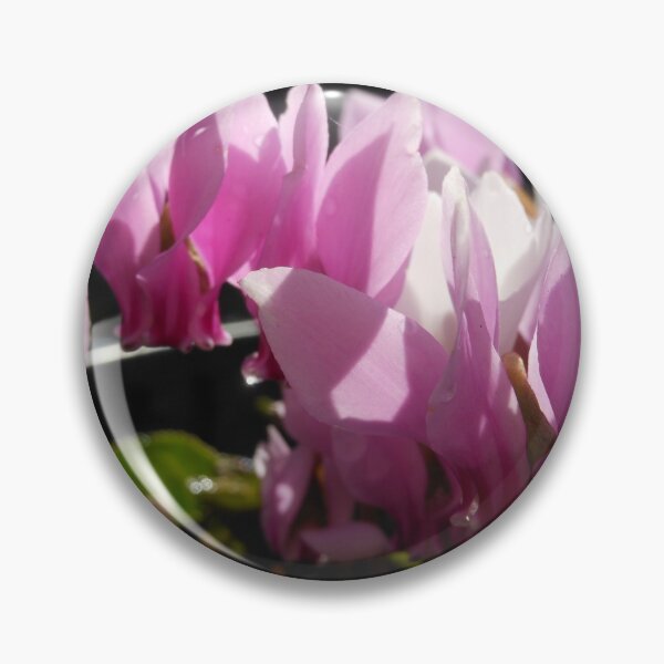 Item preview, Cyclamen designed and sold by Kashmere1646.