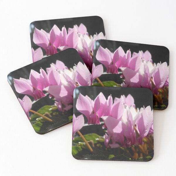 Item preview, Cyclamen designed and sold by Kashmere1646.