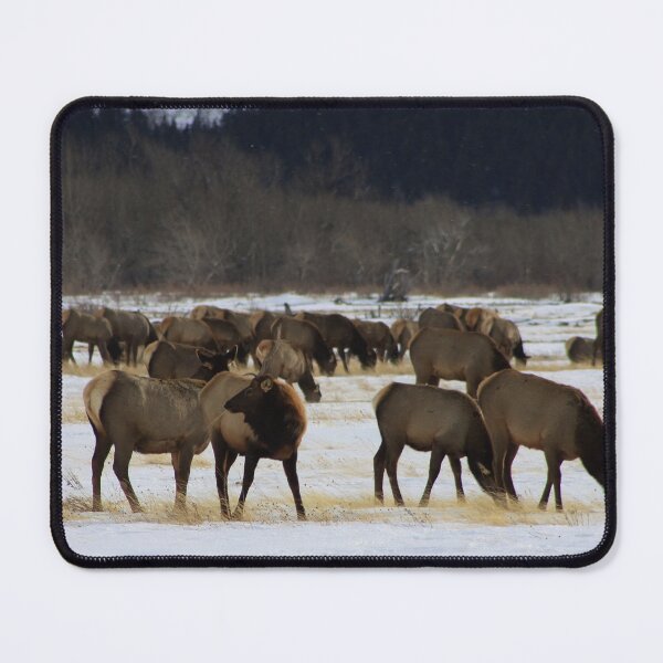 Item preview, Master of the Herd designed and sold by Alyce Taylor.