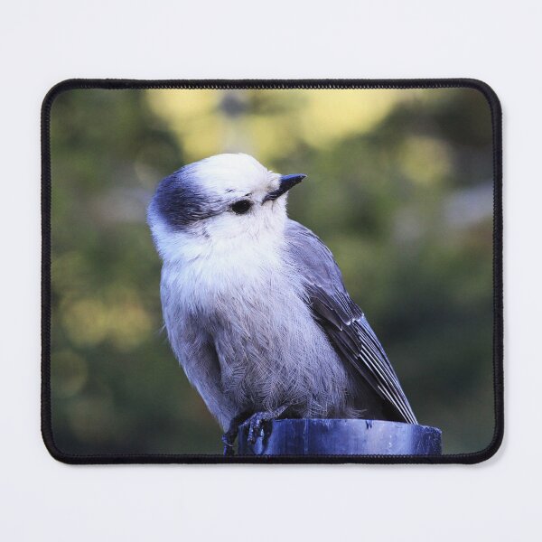 Item preview, Eavesdropping designed and sold by Alyce Taylor.