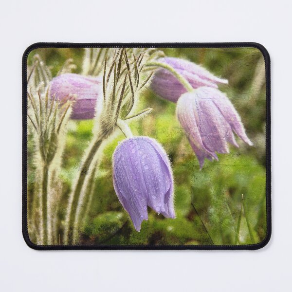 Item preview, Caught in the Rain designed and sold by Alyce Taylor.