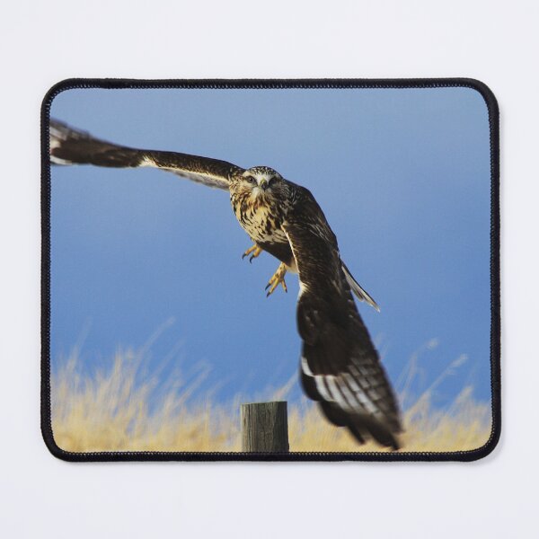 Item preview, Take Off!! designed and sold by Alyce Taylor.