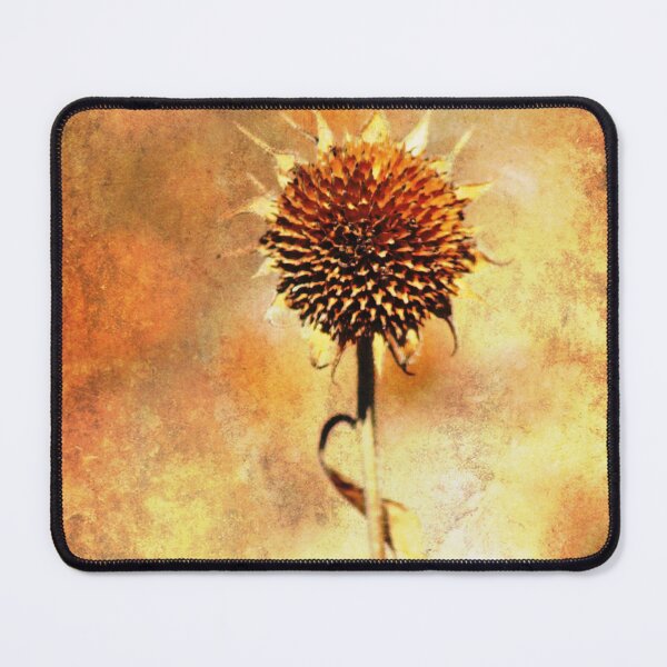 Item preview, A Single Flower designed and sold by Alyce Taylor.