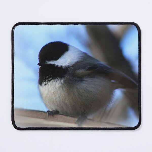 Item preview, Black Capped Chickadee designed and sold by Alyce Taylor.