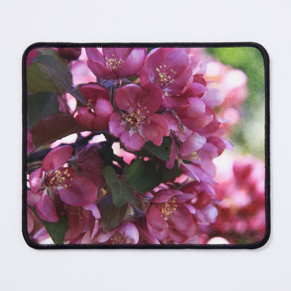 Item preview, Pink Apple Blossoms designed and sold by Alyce Taylor.