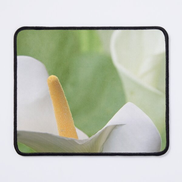Item preview, Calla Lilies designed and sold by Alyce Taylor.