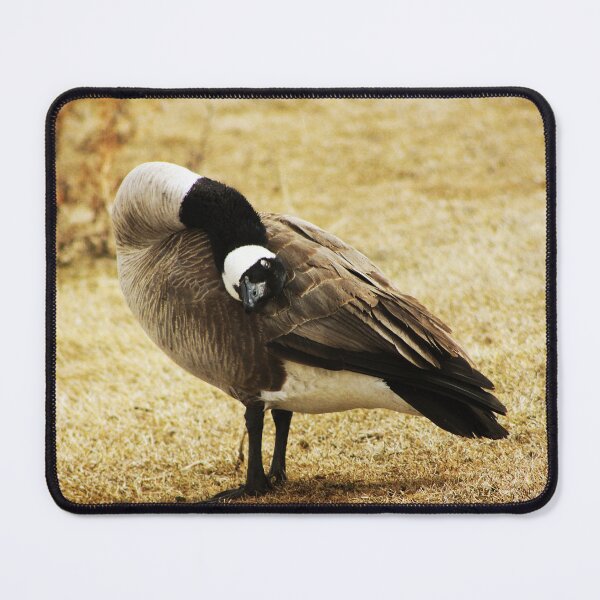 Item preview, A Different Angle designed and sold by Alyce Taylor.