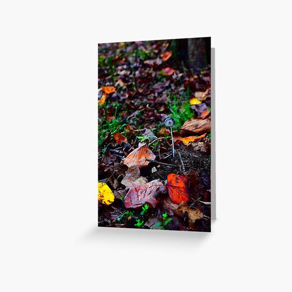 Little Spore Greeting Card