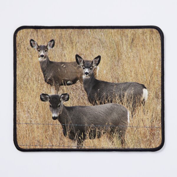 Item preview, Head's Up...or Down designed and sold by Alyce Taylor.