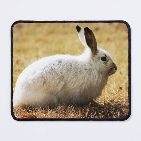 Item preview, Snowshoe Hare designed and sold by Alyce Taylor.