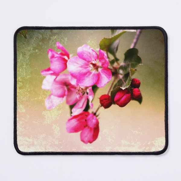 Item preview, Weathered Blossoms designed and sold by Alyce Taylor.