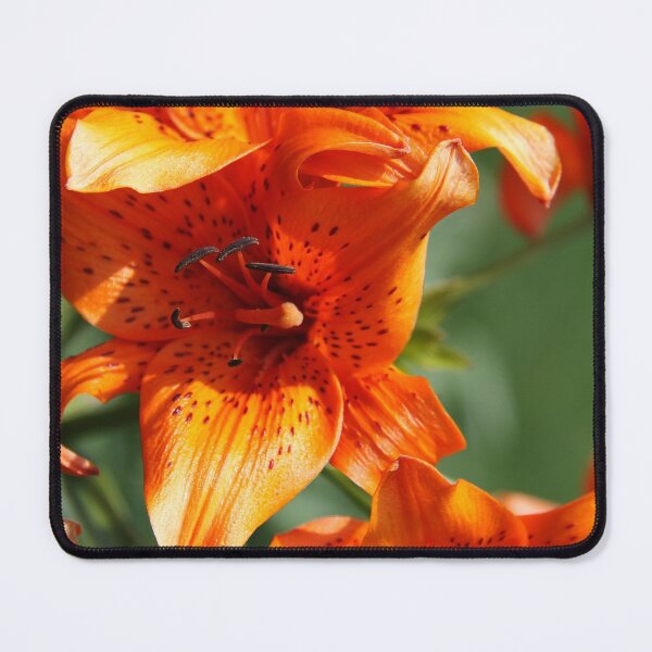 Item preview, Bright Orange Lilies designed and sold by Alyce Taylor.