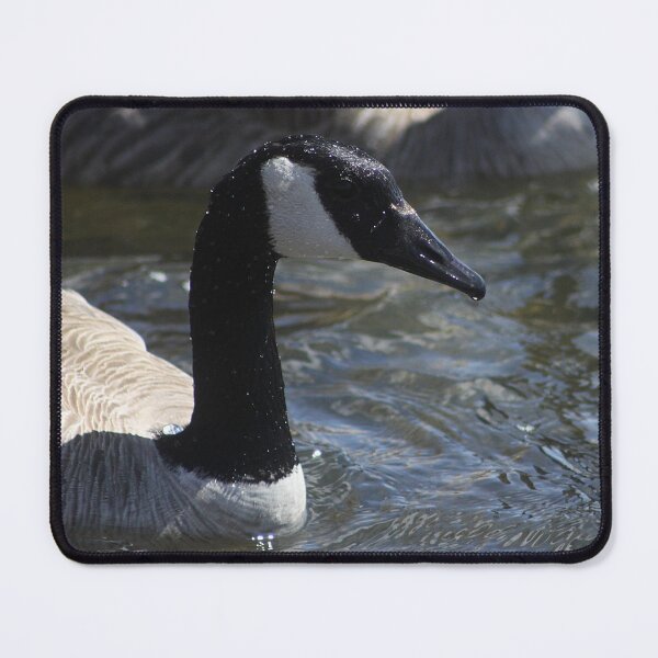 Item preview, Canadian Goose designed and sold by Alyce Taylor.