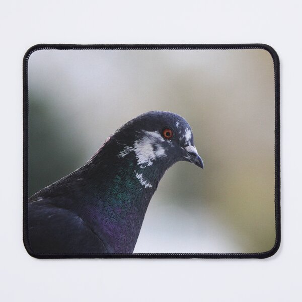 Item preview, Rock Pigeon designed and sold by Alyce Taylor.
