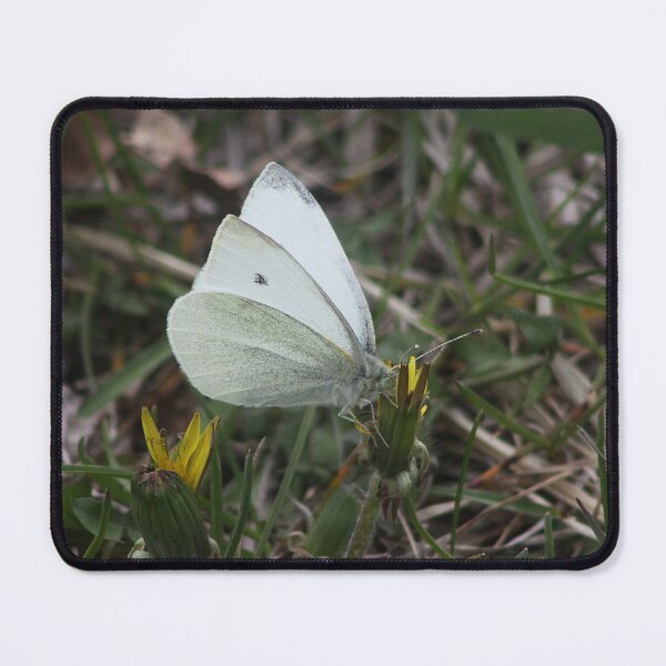 Item preview, Male White Cabbage Butterfly designed and sold by Alyce Taylor.