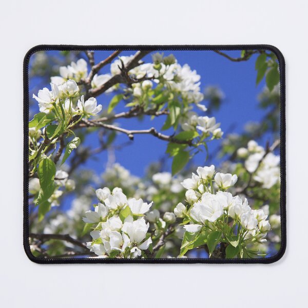 Item preview, Apple Blossoms designed and sold by Alyce Taylor.