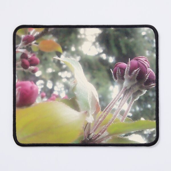 Item preview, Spring Blossoms designed and sold by Alyce Taylor.