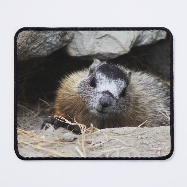 Item preview, Baby Marmot designed and sold by Alyce Taylor.