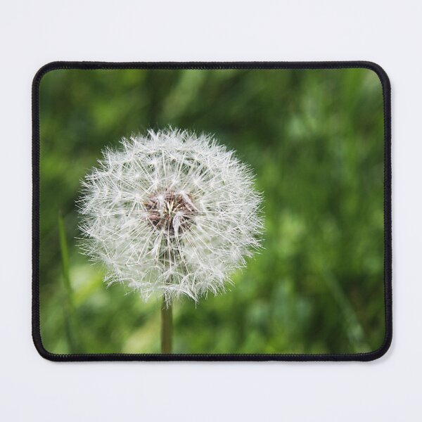 Item preview, Dandelion Clock designed and sold by Alyce Taylor.