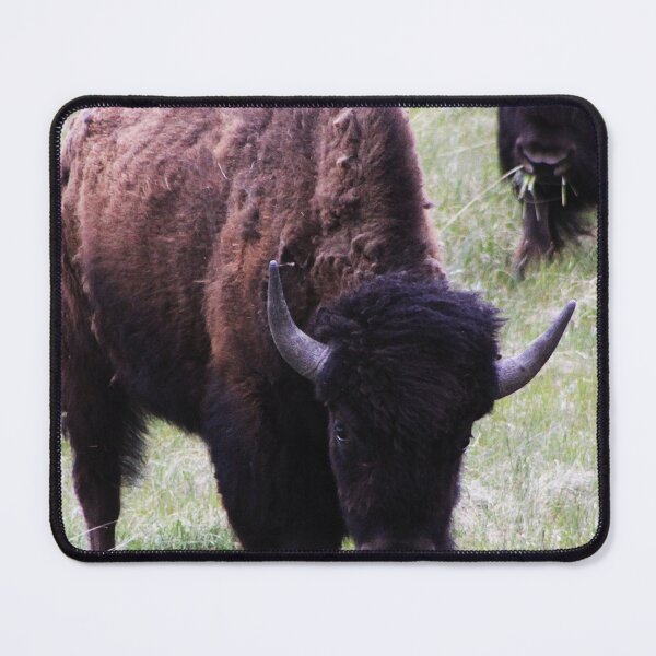 Item preview, Grazing Bison designed and sold by Alyce Taylor.