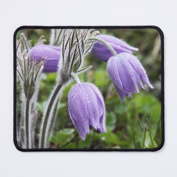 Item preview, Prairie Croci designed and sold by Alyce Taylor.
