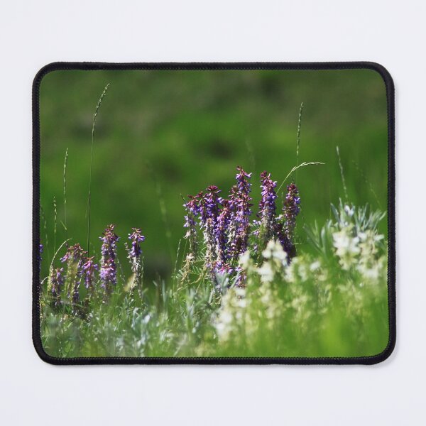 Item preview, Bird Vetch designed and sold by Alyce Taylor.