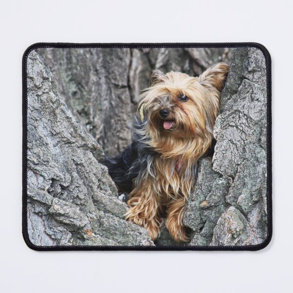 Item preview, Playing in the Park designed and sold by Alyce Taylor.