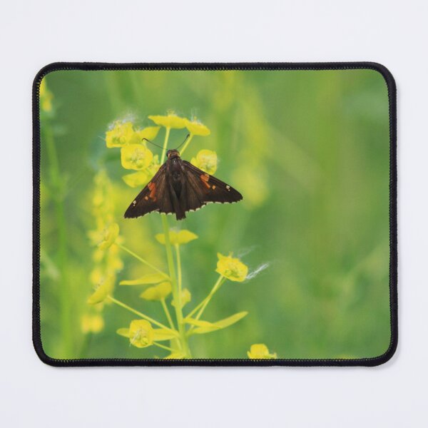 Item preview, Silver-spotted Skipper on Leafy Spurge designed and sold by Alyce Taylor.