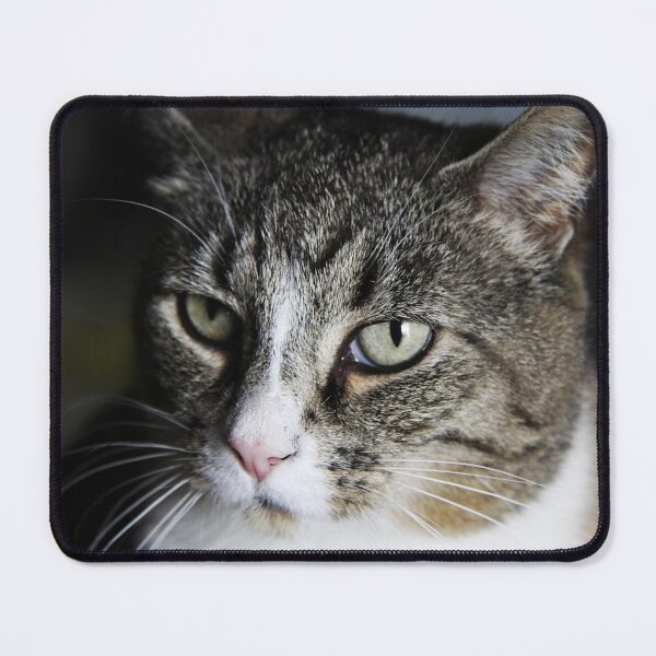Item preview, Meet Tiger! designed and sold by Alyce Taylor.