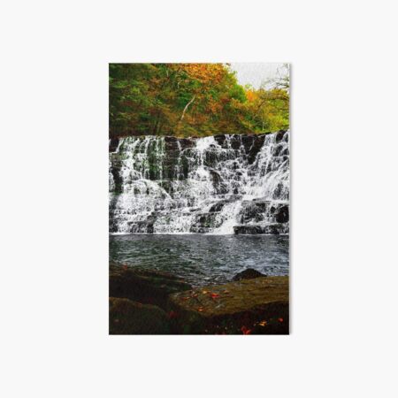 Rutledge Falls II Art Board Print