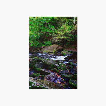 River's Path Art Board Print