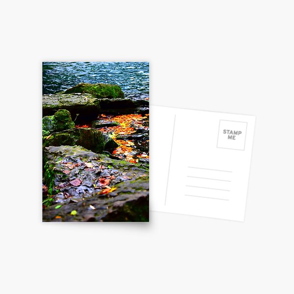 River of Gold Postcard