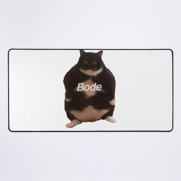 Bode fat discount cat