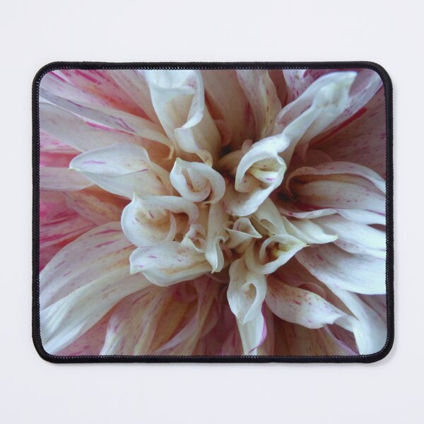Item preview, Dahlia designed and sold by Kashmere1646.