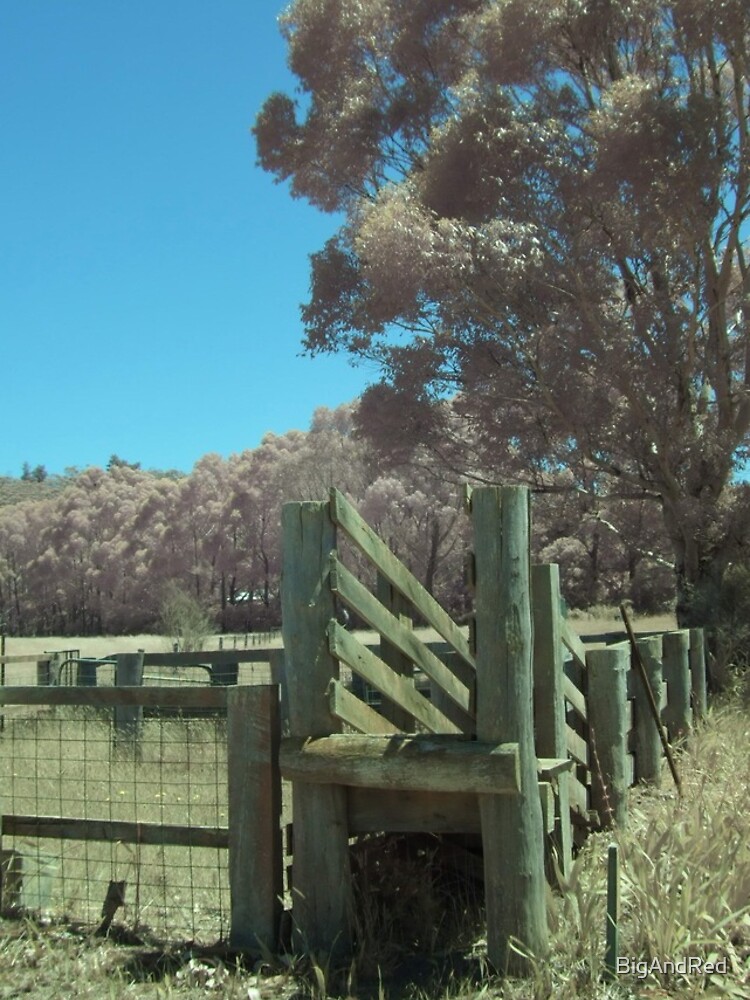 Thumbnail 4 of 4, iPhone Case, Cattle Ramp designed and sold by BigAndRed.
