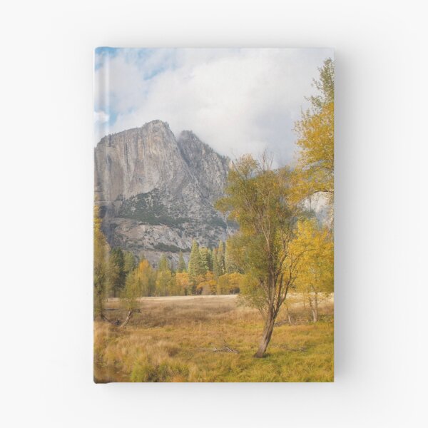 Item preview, Yosemite Autumn no. 4 designed and sold by Seth Russell.