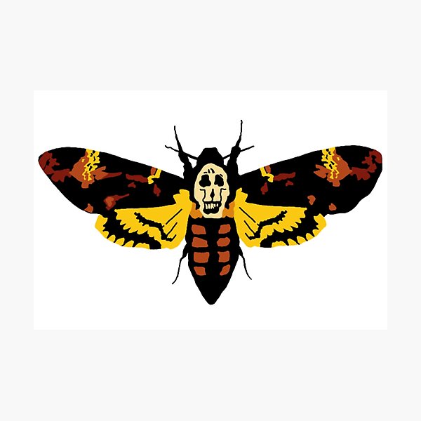 Item preview, Death's Head moth designed and sold by emm416.