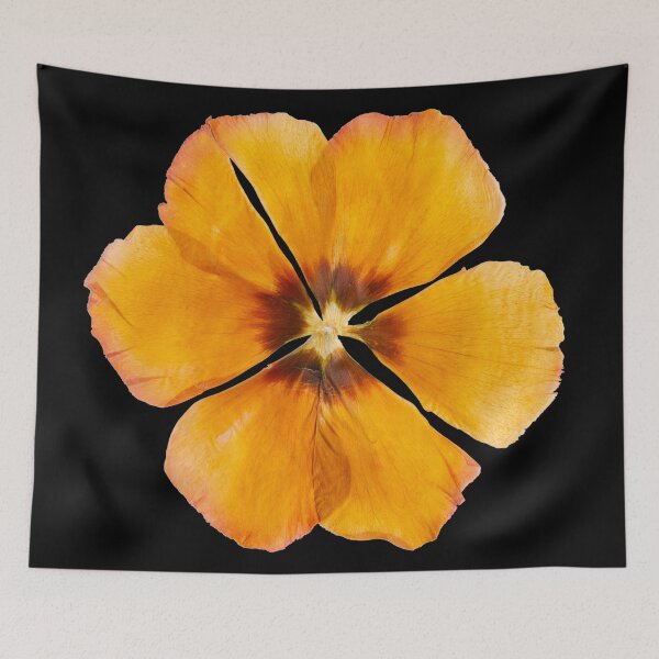 Item preview, Bold Wide Open Extra Large Huge Flower  designed and sold by Catawampus-Cat.