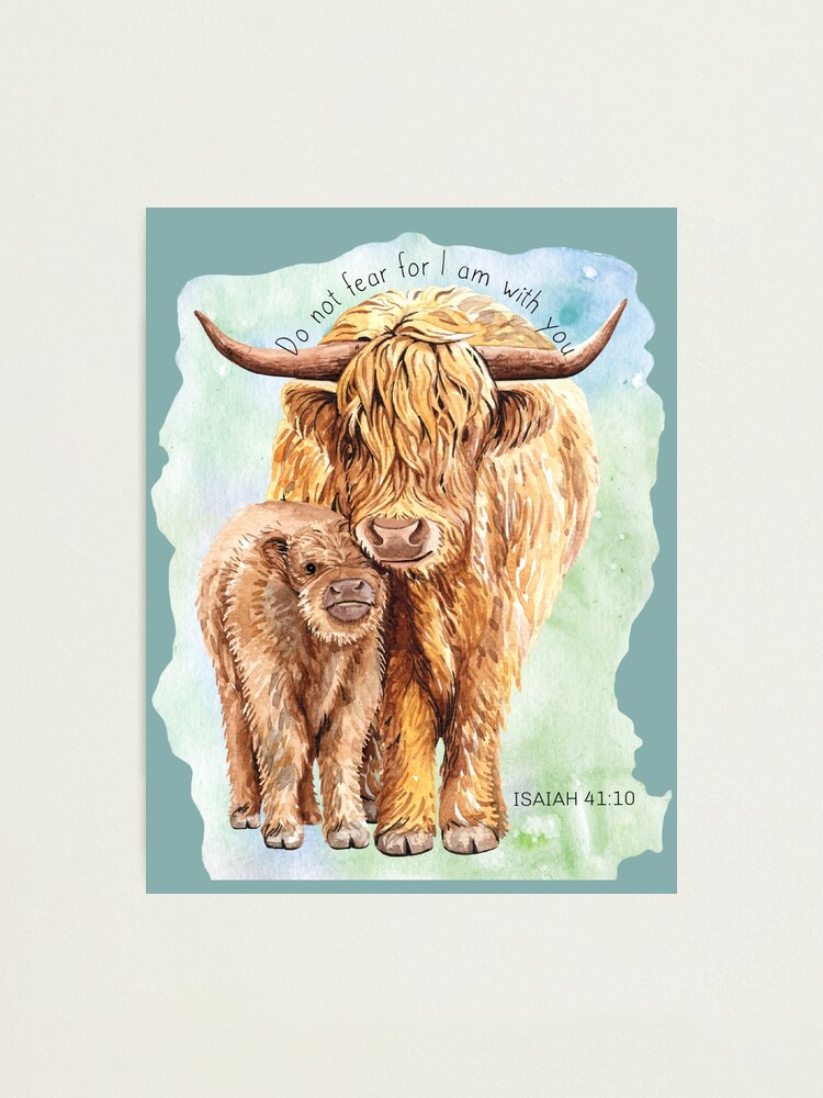 Baby Highland Cow - The Crown Prints