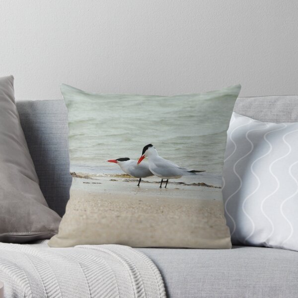Item preview, Singing Terns designed and sold by imaginethis.